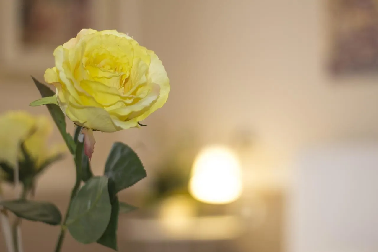 B&B Casa Augusto Luxury San Leone Bed & Breakfast
